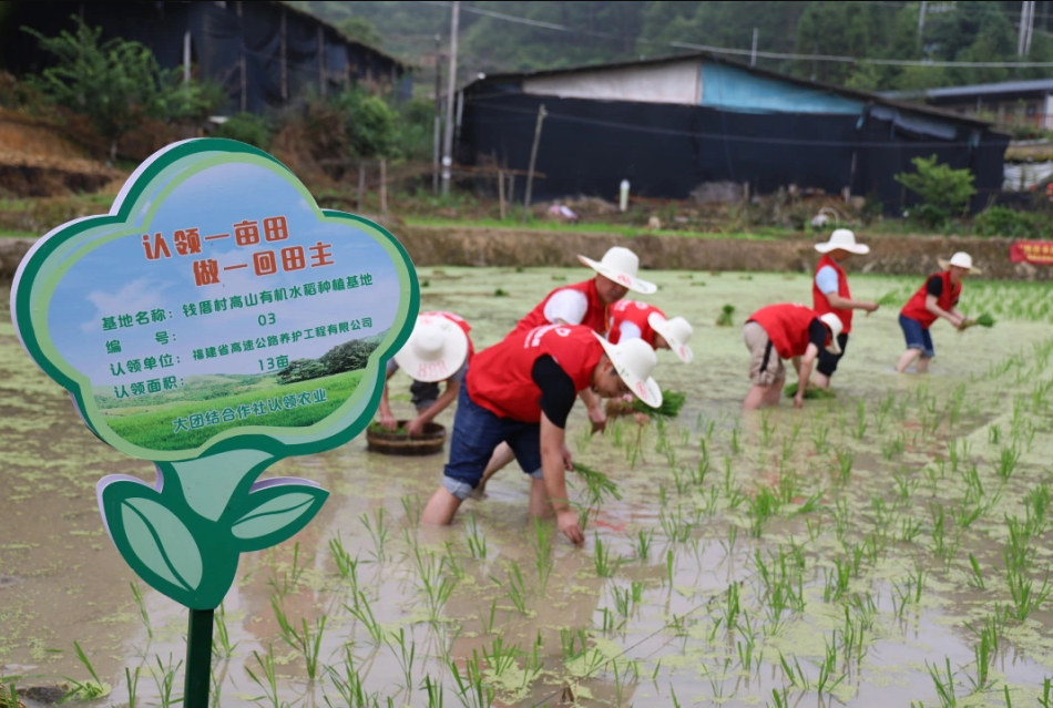 福建高速养护网 - 好博在线登录官网 福建高速养护网 - 好博在线登录官网